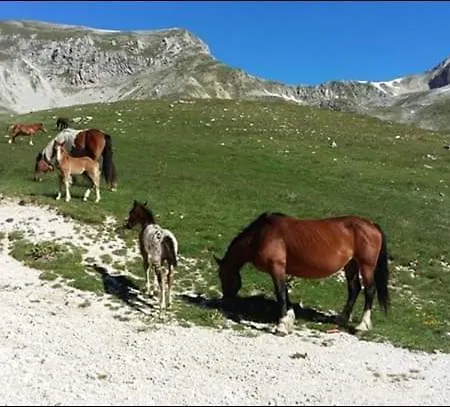アパート Il Narciso アッセルジ