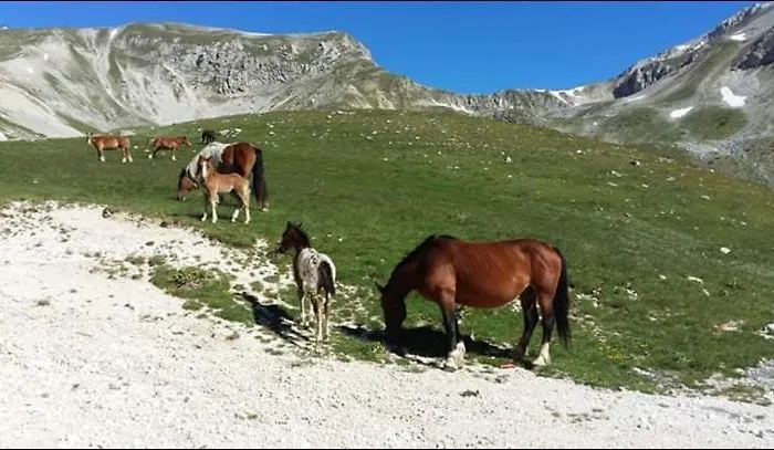 Appartamento Il Narciso Assergi